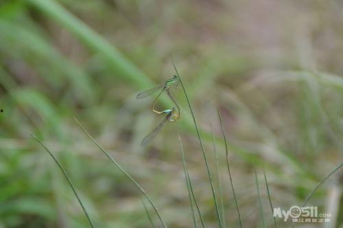暴晒吃瓜,暴晒吃瓜，清凉一夏