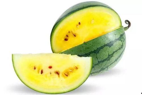 官庭吃瓜,揭秘宫廷背后的吃瓜故事