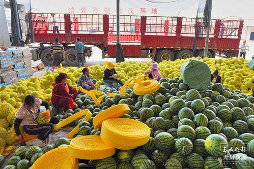 保山吃瓜,吃瓜也能吃出风味