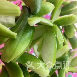 腾冲吃瓜视频,揭秘当地美食文化盛宴