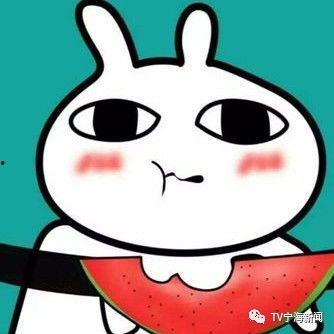 吃瓜各种表情包,网络时代的趣味社交语言