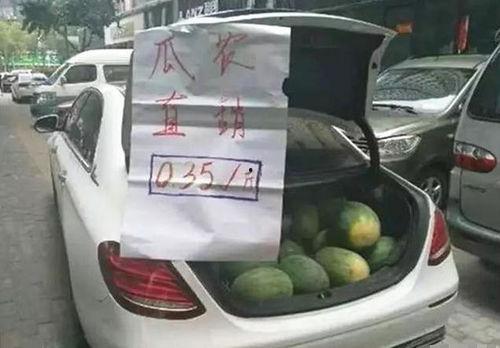 汽车员工吃瓜,揭秘行业内部趣闻轶事