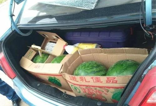 汽车员工吃瓜,揭秘行业内部趣闻轶事