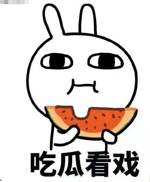 吃瓜必备APPios,iOS版深度解析，解锁娱乐圈新鲜资讯