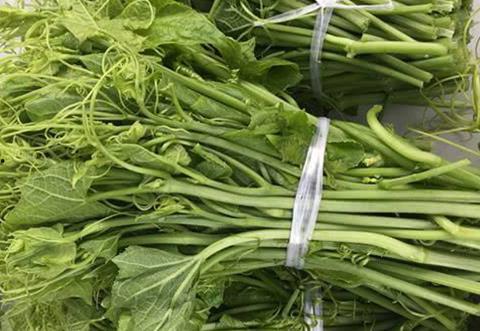 胡子是什么瓜怎么吃,探索美味食用方法