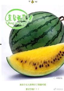 吃瓜67集,揭秘剧情高潮，悬念迭起！