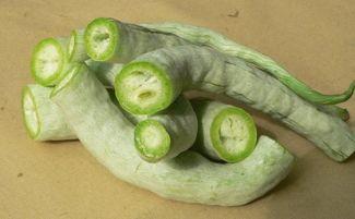 怀孕可以吃蛇瓜吗