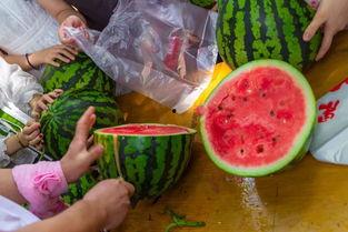 新视频吃瓜,揭秘娱乐圈最新热点事件