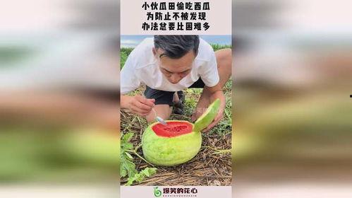 谁不能阻止吃瓜,为何有些人无法阻止吃瓜群众的热议狂欢？