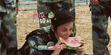 全家变吃瓜群众,揭秘娱乐圈幕后风云