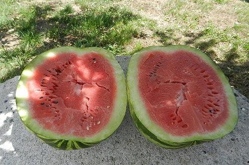 梦见吃无籽瓜,无籽瓜的甜蜜启示