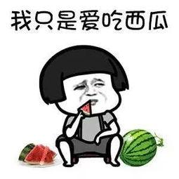 做个快乐吃瓜人,打造幸福生活新篇章