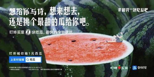 在街上吃瓜文案,揭秘吃瓜群众的快乐时光