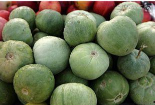 直接可吃的瓜,探索可直接食用的瓜类佳肴