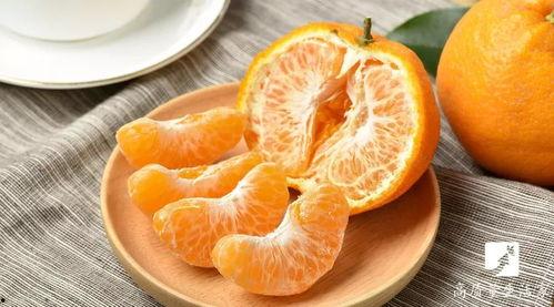 大胖橘吃蜜瓜,甜蜜滋味尽享其中