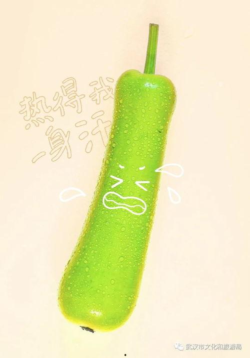 花式吃瓜比赛方法,花式吃瓜比赛，创意无限挑战极限