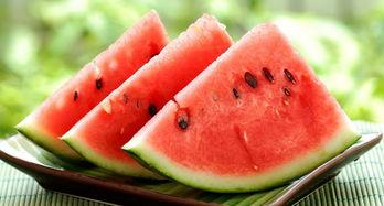 莲上涂成吃瓜,揭秘网络热词背后的趣味与哲理  第3张