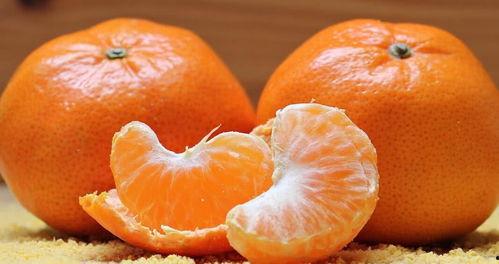 胖橘吃瓜图片,萌态十足，揭秘瓜果界的“萌宠”瞬间  第2张