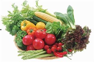 小陶今天吃瓜了吗,吃瓜了吗？  第3张