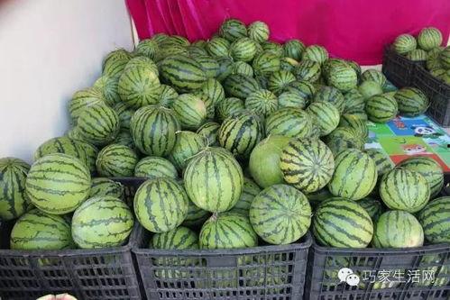 吃瓜小陈,揭秘娱乐圈那些不为人知的幕后故事  第2张