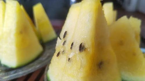 新吃瓜密码,网络热点的幕后真相  第2张