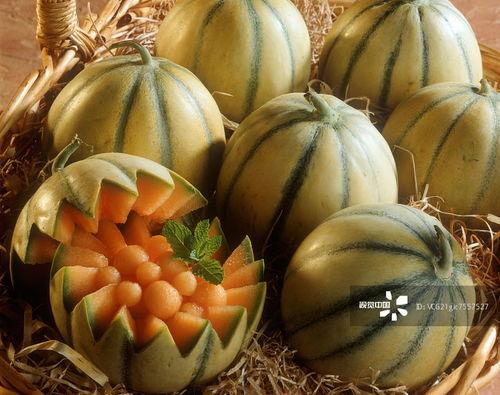 新吃瓜密码,网络热点的幕后真相  第3张