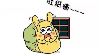 吃瓜群众2782,一场全民参与的娱乐盛宴