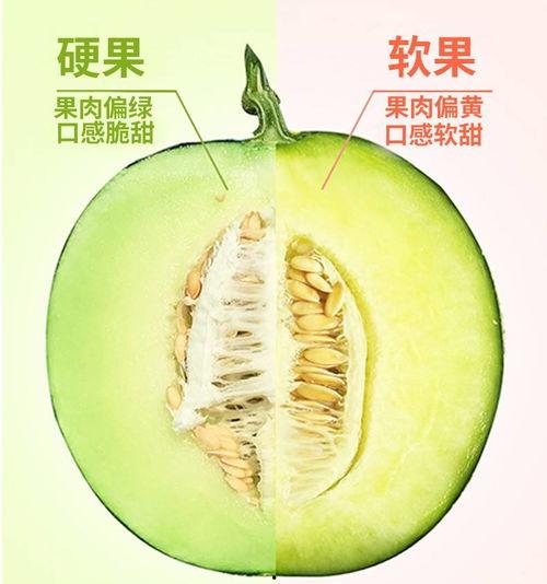 吃静冈网纹蜜瓜,甜蜜诱惑，尽享夏日清新口感  第1张