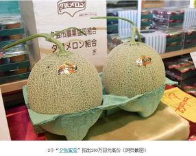 吃静冈网纹蜜瓜,甜蜜诱惑，尽享夏日清新口感  第3张