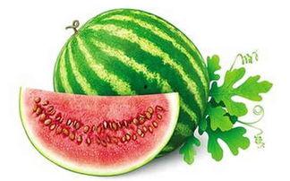 冬日吃瓜合集,冬日吃瓜合集大赏