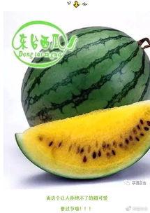 全球每日吃瓜,揭秘热点事件背后的真相与笑料  第2张