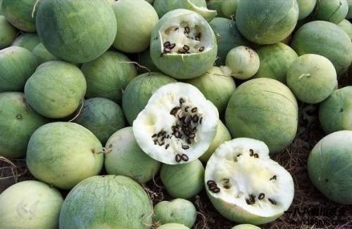 全球每日吃瓜,揭秘热点事件背后的真相与笑料  第3张