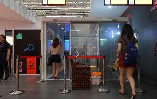 吃瓜群众阿里,揭秘网络红人的崛起之路  第1张