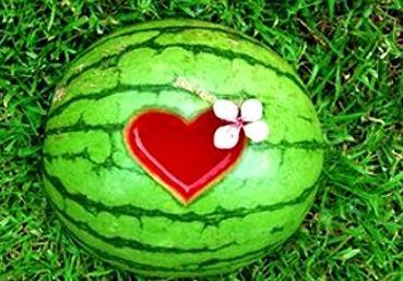 梦到别人吃瓜了