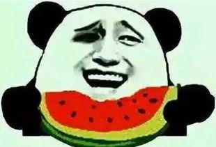 吃瓜群众会挑瓜吗