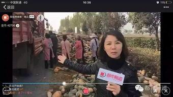 炮姐吃瓜群众视频,揭秘娱乐圈幕后真相  第2张