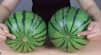 瓜藤上吃瓜,探寻吃瓜的乐趣与智慧  第1张