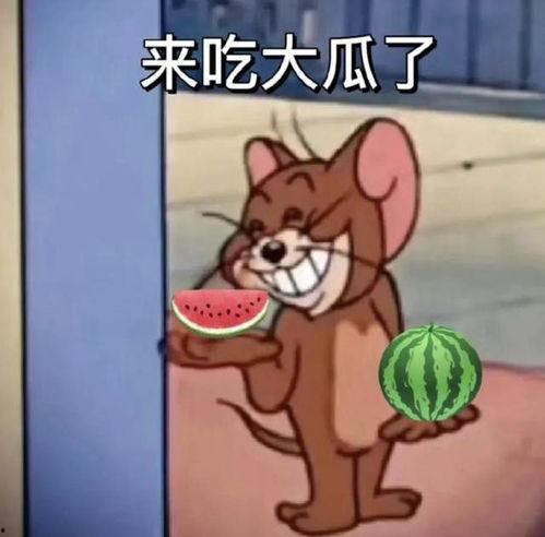 瓜大哥吃瓜